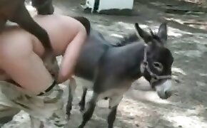 rolexjogo - donkey, videos with beastiality